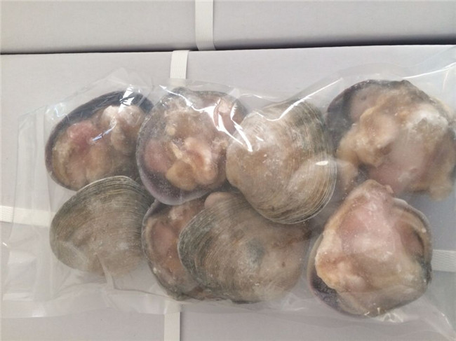 �뚤���Z��